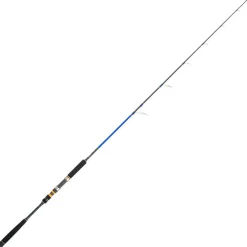 Best Rayforce XBR Classic Jigging Jigging|Cañas Cinnetic