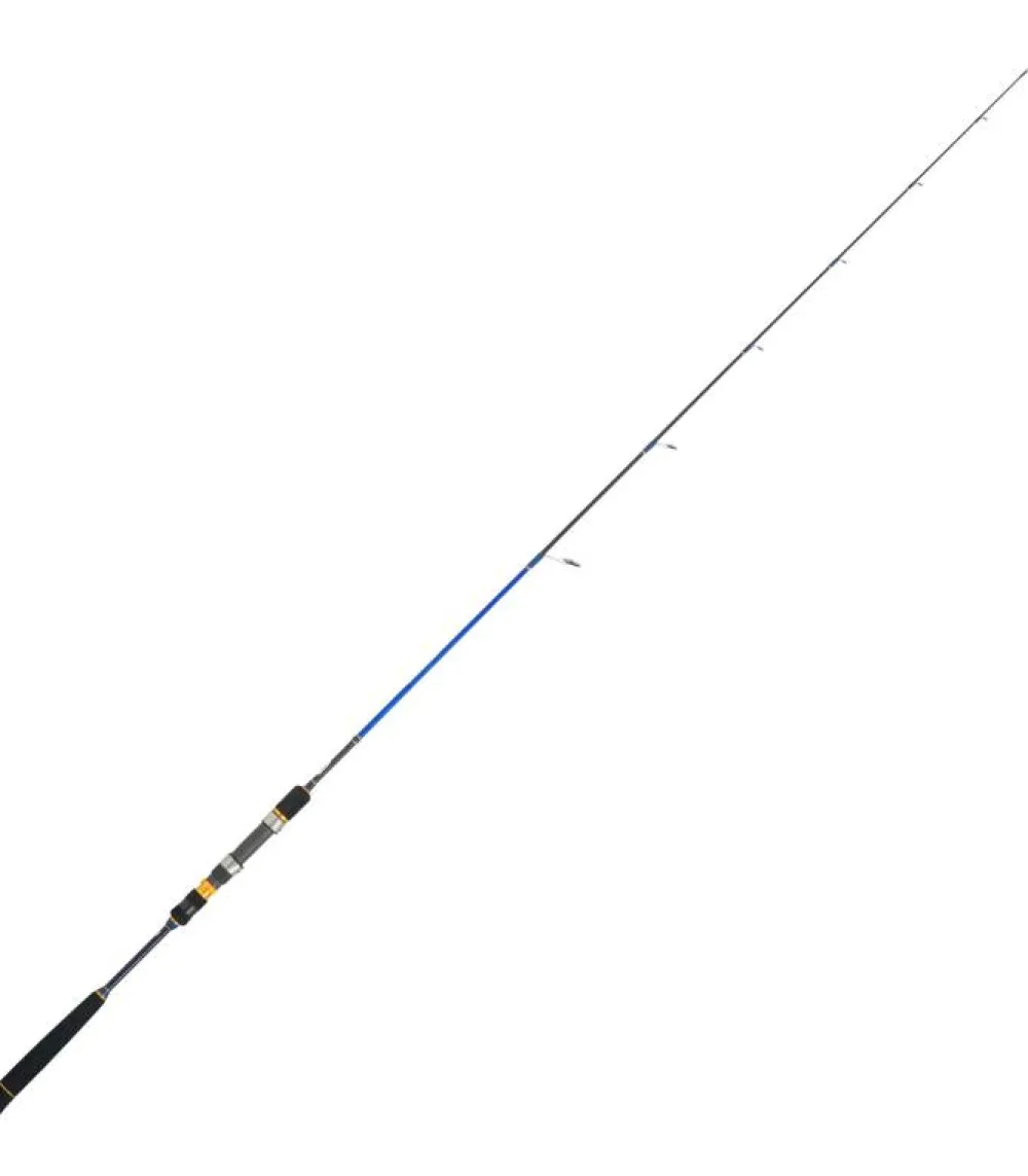 Discount Rayforce XBR Light Jigging Jigging