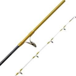 Tanera Gold Cañas Cinnetic|Embarcación