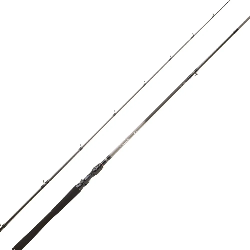 Hot Exceler Casting 25 Cañas Daiwa|Cañas Casting