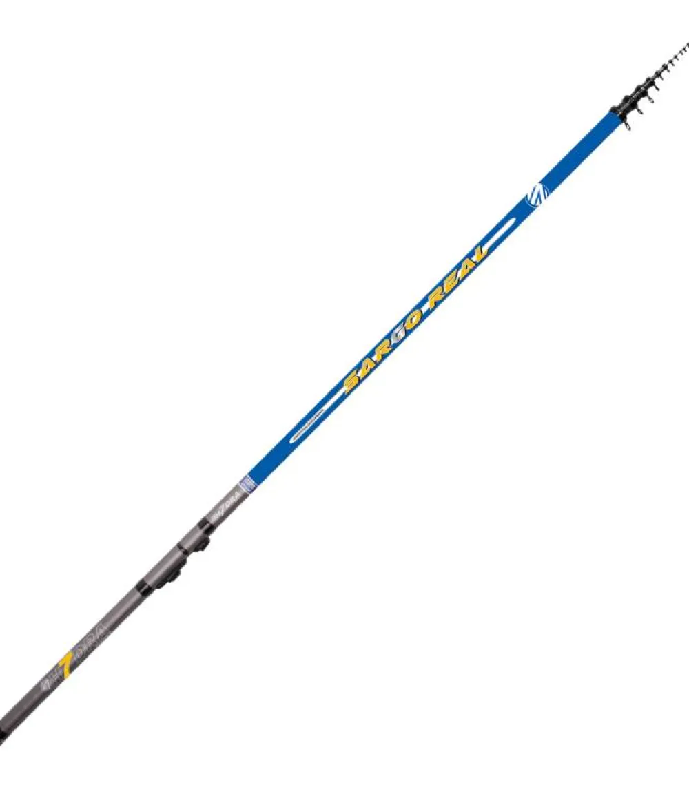 Sale 7 Sargo Real Boloñesa