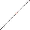 Online Belforte R22 Cañas Valdieri|Boloñesa