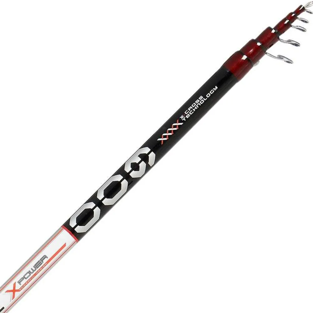Online Belforte R22 Cañas Valdieri|Boloñesa