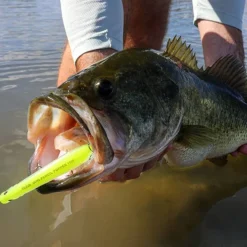 Clearance 3DB Pencil Popper 110 Peces Yo-Zuri|Señuelos Poppers